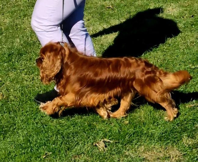 Tonnere zeus de la cascade de blangy